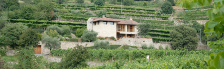 Azienda Agricola Pedrinis