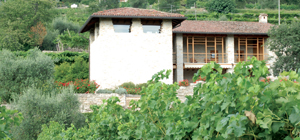 Azienda Agricola Pedrinis