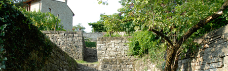 Azienda Agricola Pedrinis
